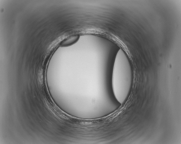 X0000087420298200704201052