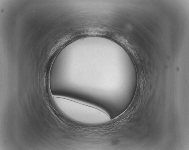 X0000087420299200704201052