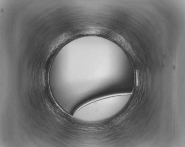 X0000087420300200704201052