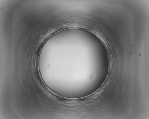 X0000087420301200704201052