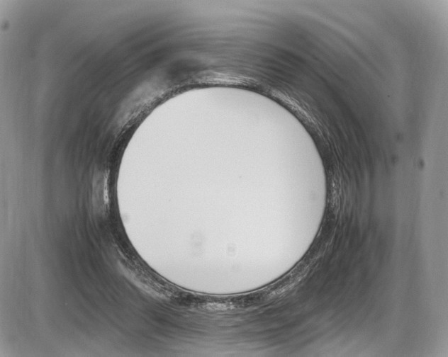 X0000087420302200704201052