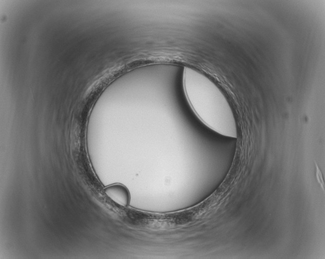 X0000087420303200704201052