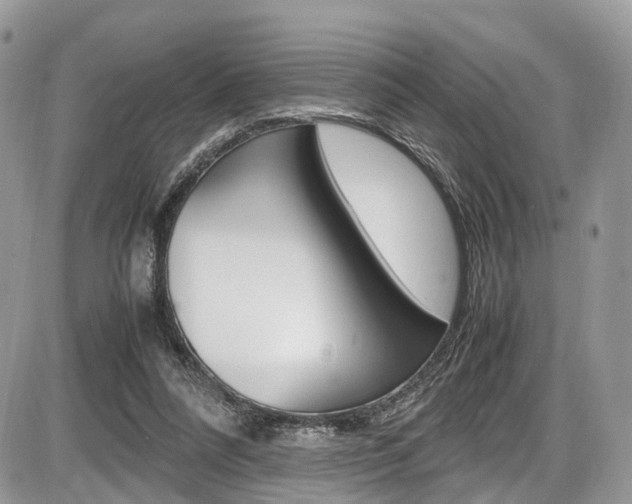 X0000087420304200704201052