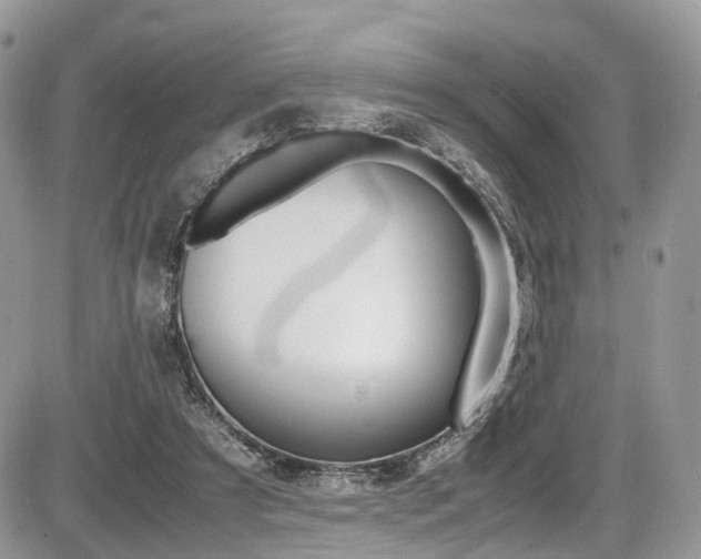 X0000087420305200704201052