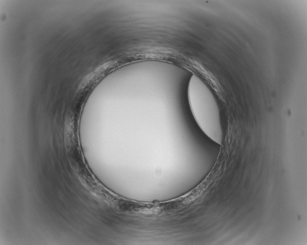 X0000087420306200704201052