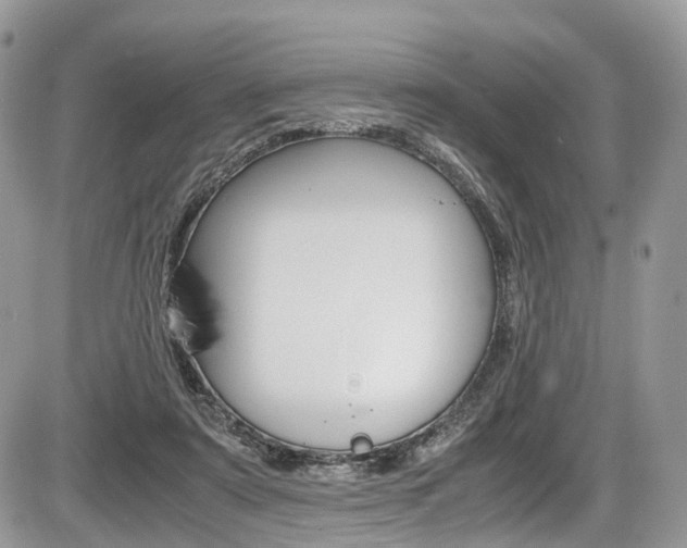 X0000087420307200704201052