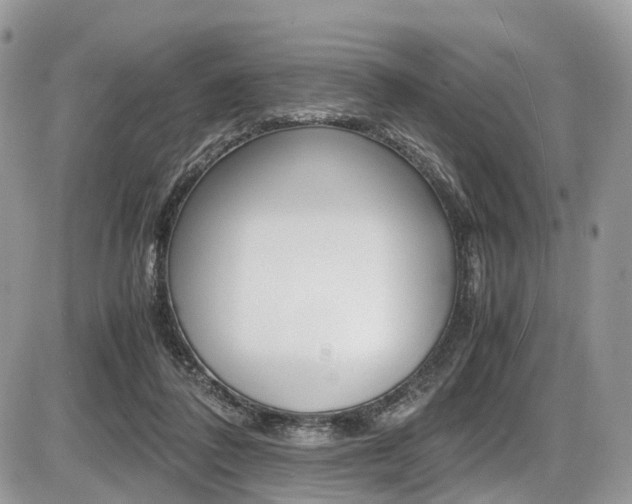 X0000087420308200704201052