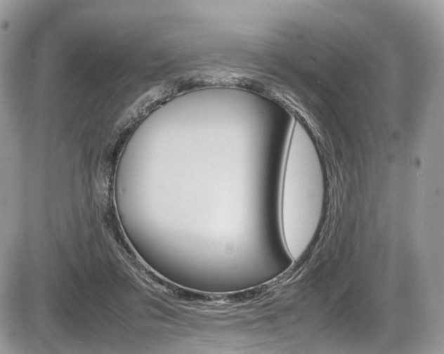 X0000087420309200704201052