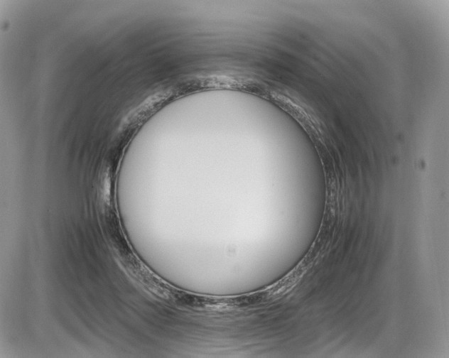 X0000087420310200704201052