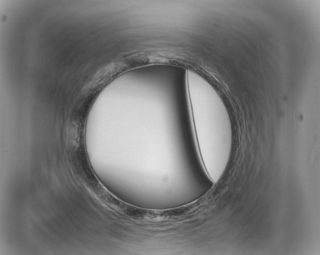 X0000087420311200704201052