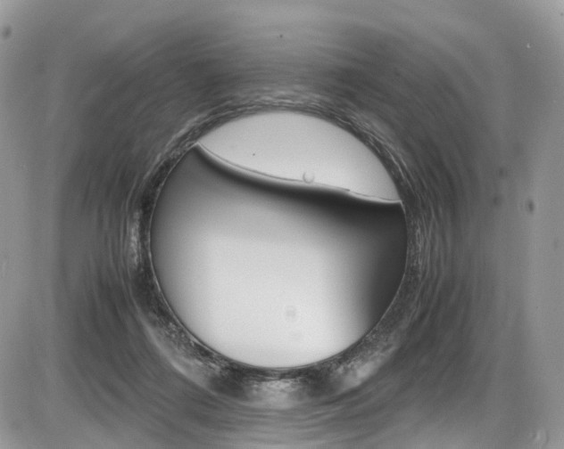 X0000087420312200704201052