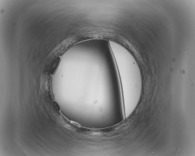 X0000087420313200704201052