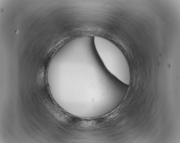 X0000087420314200704201052