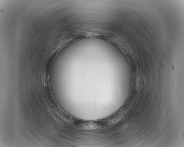 X0000087420316200704201052