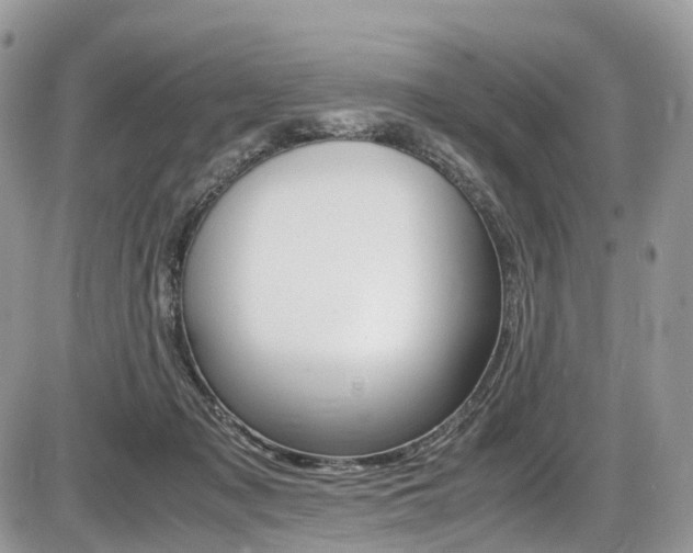 X0000087420317200704201052