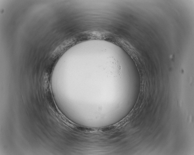 X0000087420318200704201052