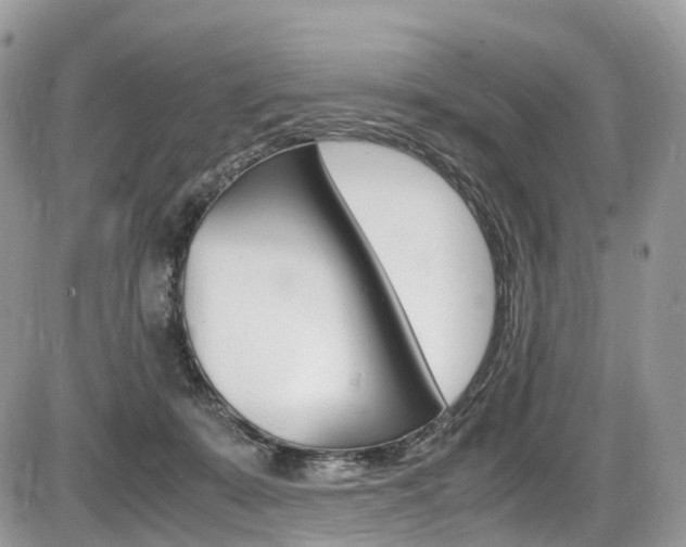 X0000087420319200704201052