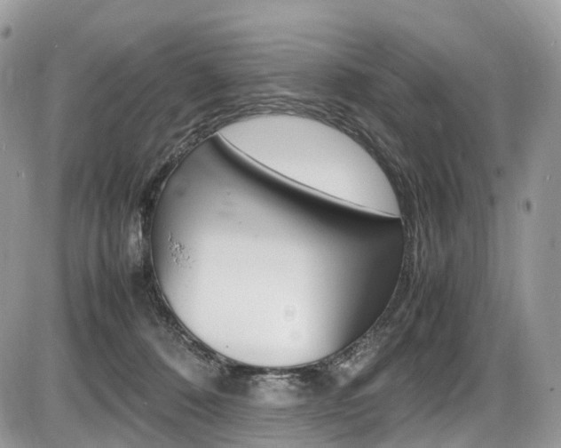 X0000087420320200704201052