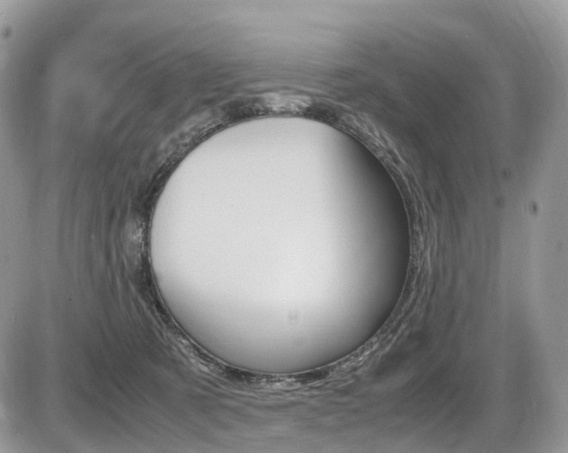 X0000087420321200704201052