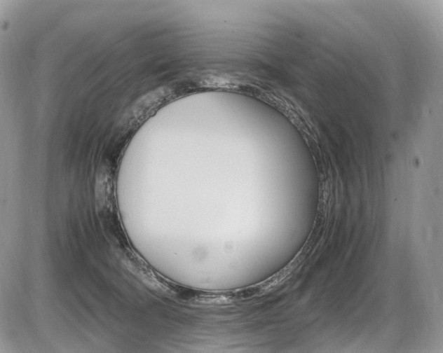 X0000087420322200704201052