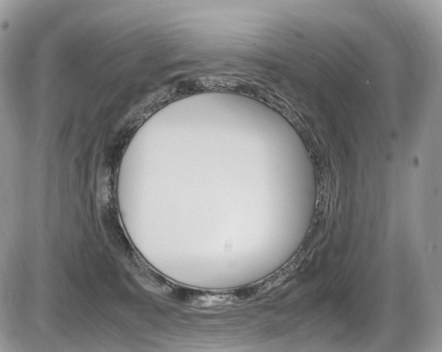 X0000087420323200704201052