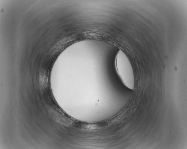 X0000087420324200704201052