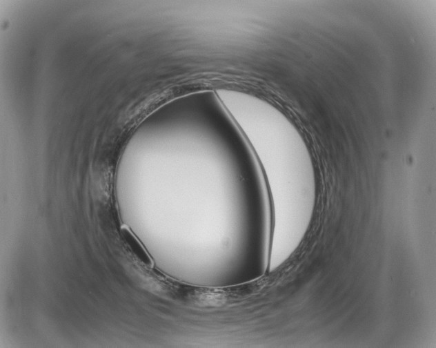 X0000087420325200704201052