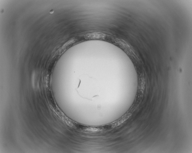 X0000087420326200704201052