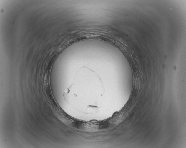 X0000087420327200704201052