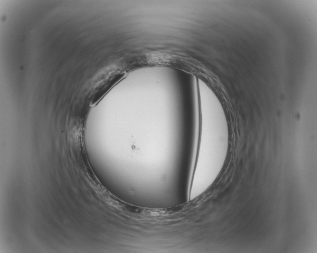 X0000087420329200704201052