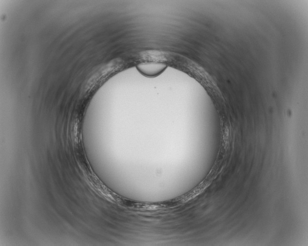 X0000087420330200704201052