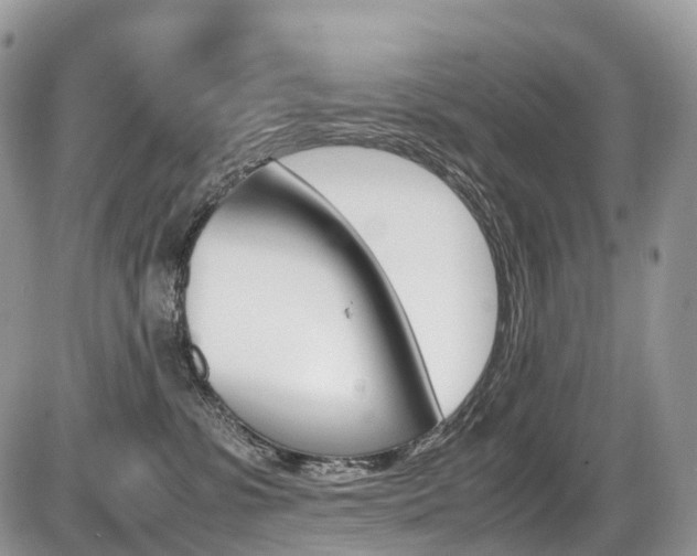 X0000087420331200704201052