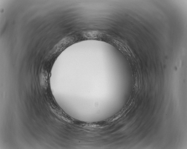 X0000087420332200704201052