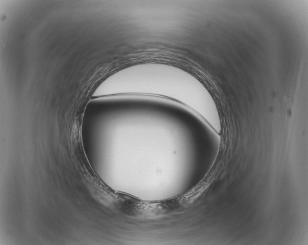 X0000087420333200704201052