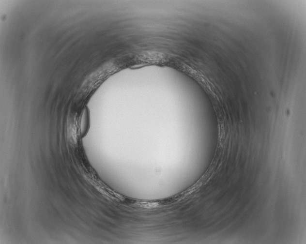 X0000087420334200704201052