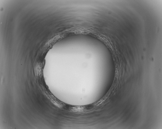 X0000087420335200704201052