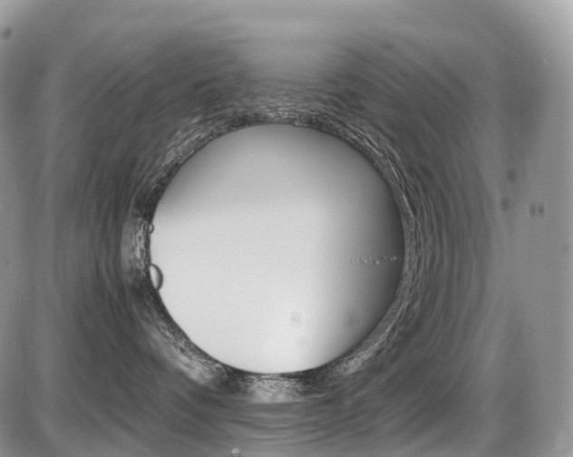 X0000087420336200704201052