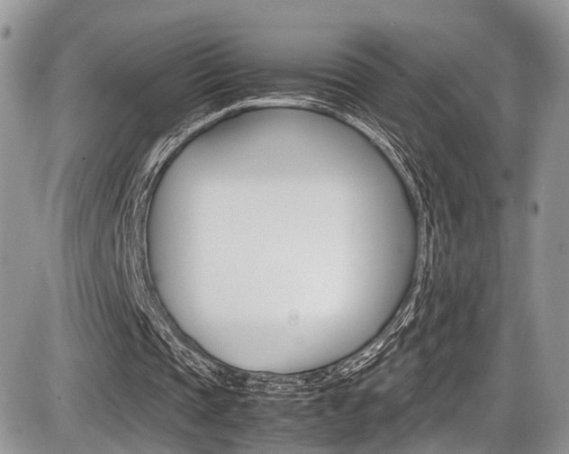 X0000087420337200704201051