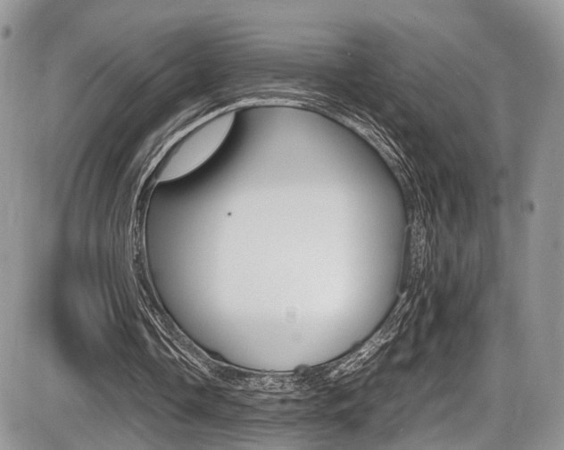 X0000087420338200704201051