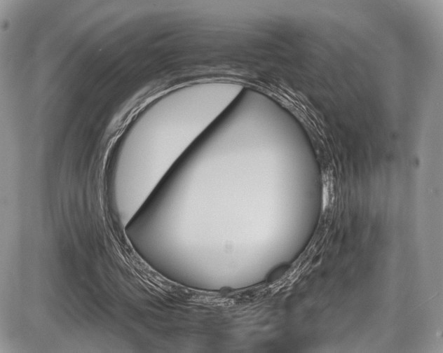 X0000087420339200704201051