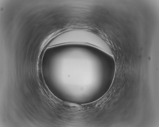 X0000087420340200704201051