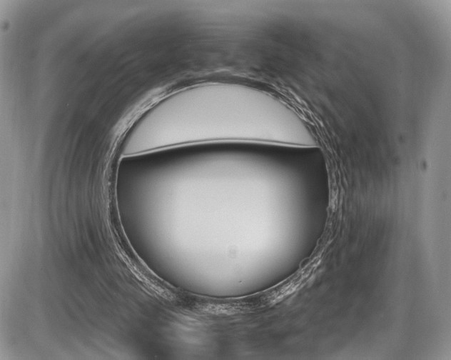 X0000087420341200704201051