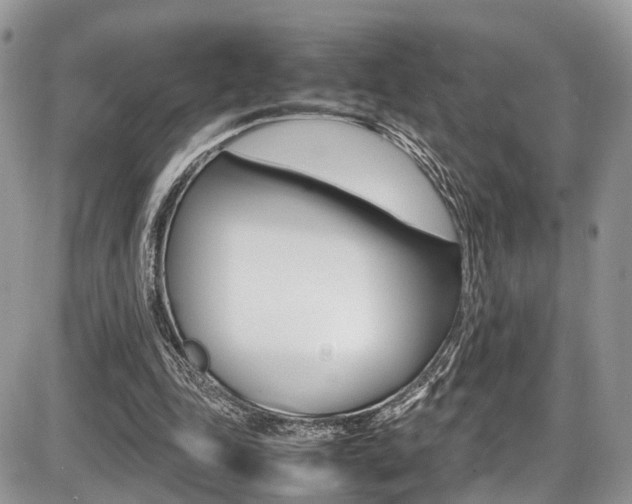 X0000087420343200704201051