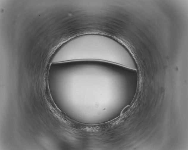 X0000087420345200704201051