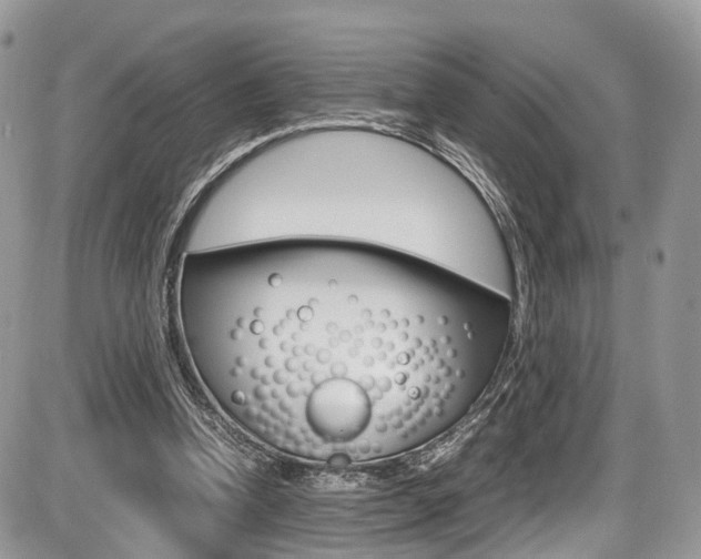 X0000087420346200704201051