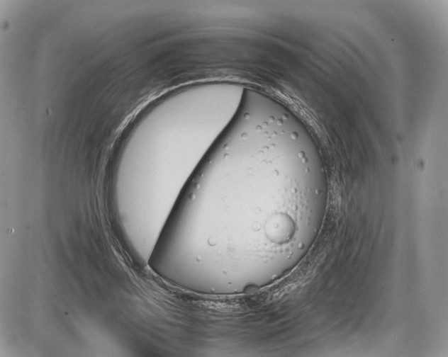 X0000087420347200704201051