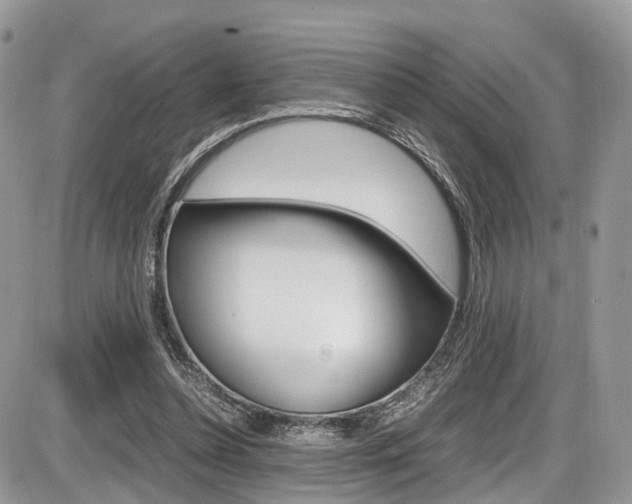 X0000087420348200704201051