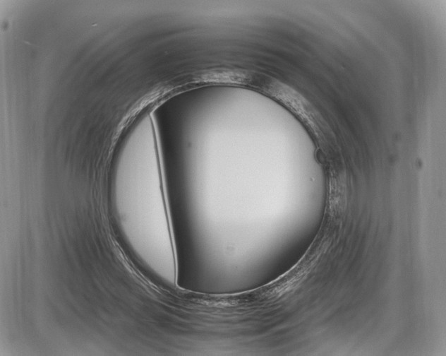 X0000087420349200704201051