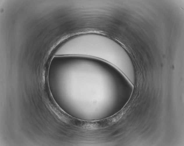 X0000087420350200704201051