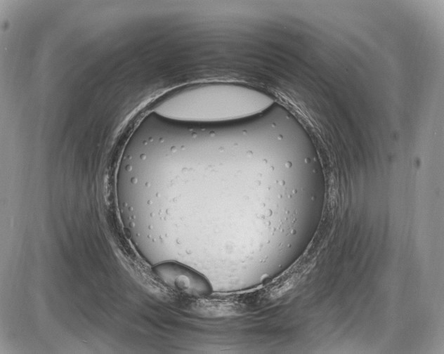 X0000087420351200704201051